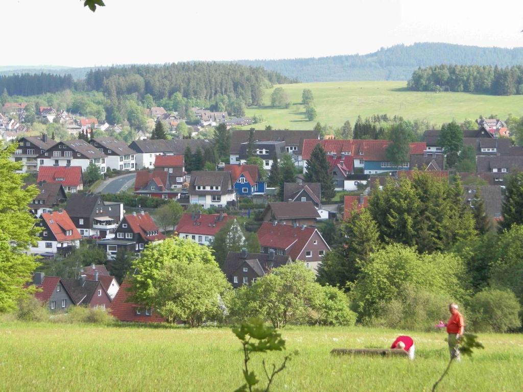 Landhaus Irmgard Hotel Braunlage Eksteriør billede