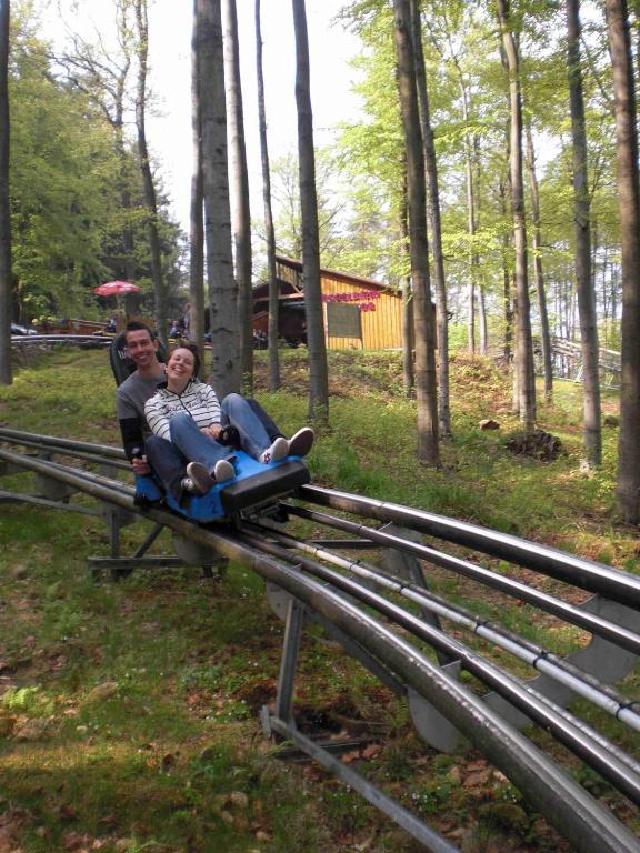 Landhaus Irmgard Hotel Braunlage Eksteriør billede