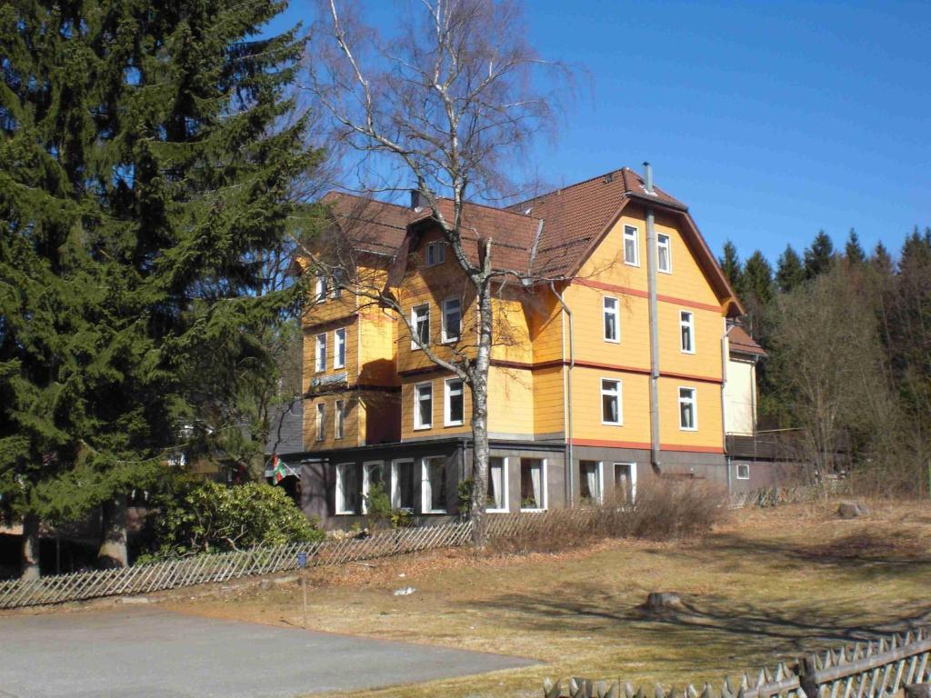 Landhaus Irmgard Hotel Braunlage Eksteriør billede